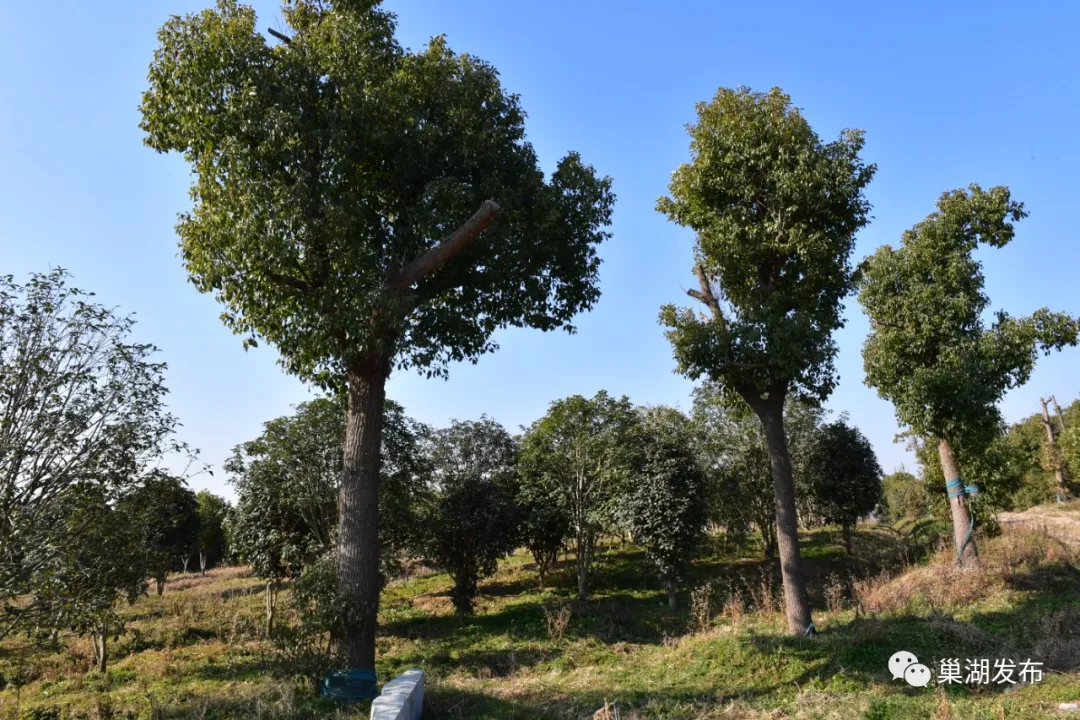 UUµçÍæ-Öйú¹Ù·½ÍøÕ¾