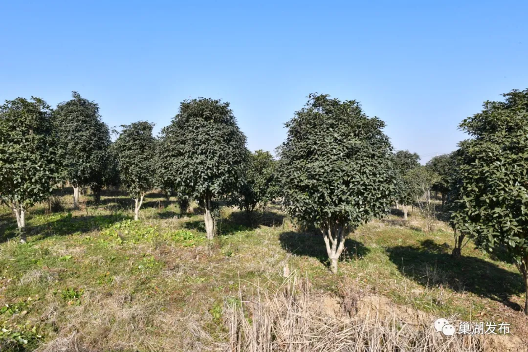 UUµçÍæ-Öйú¹Ù·½ÍøÕ¾