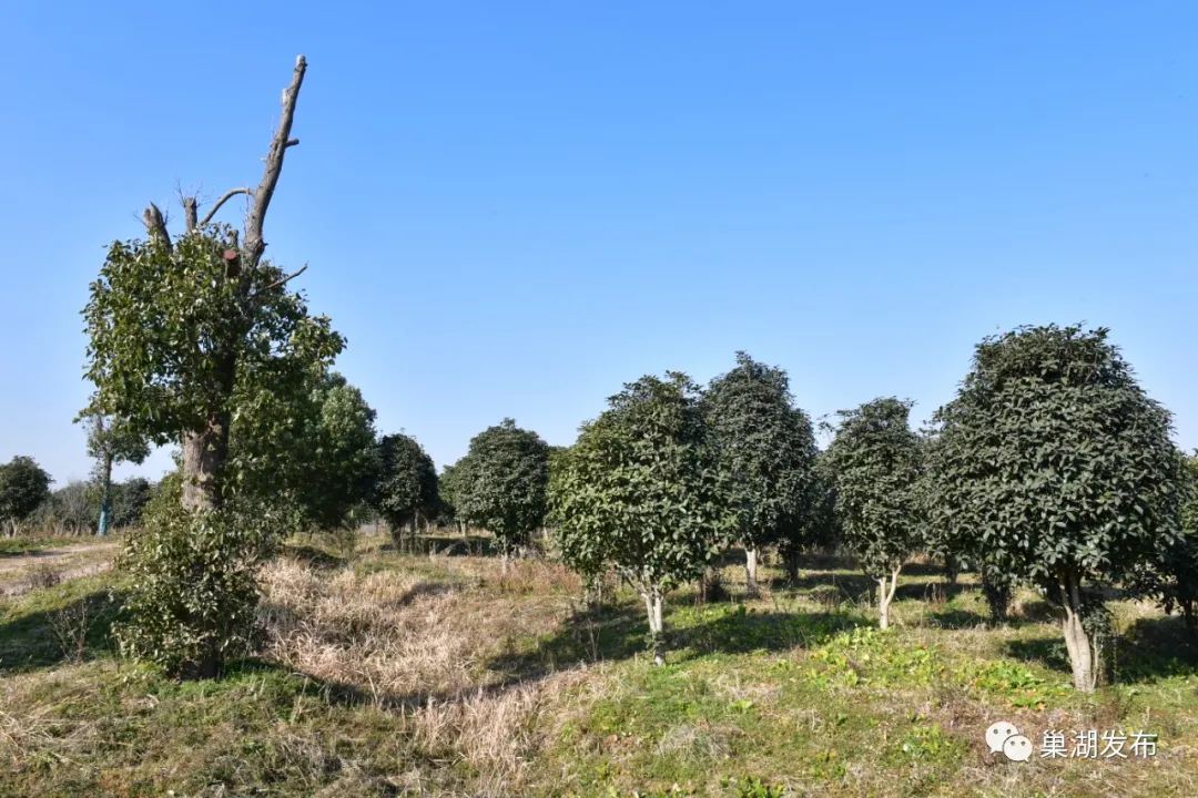 UUµçÍæ-Öйú¹Ù·½ÍøÕ¾