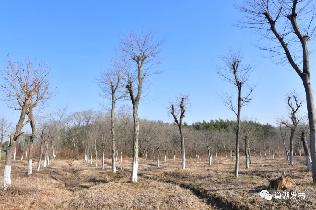 UUµçÍæ-Öйú¹Ù·½ÍøÕ¾